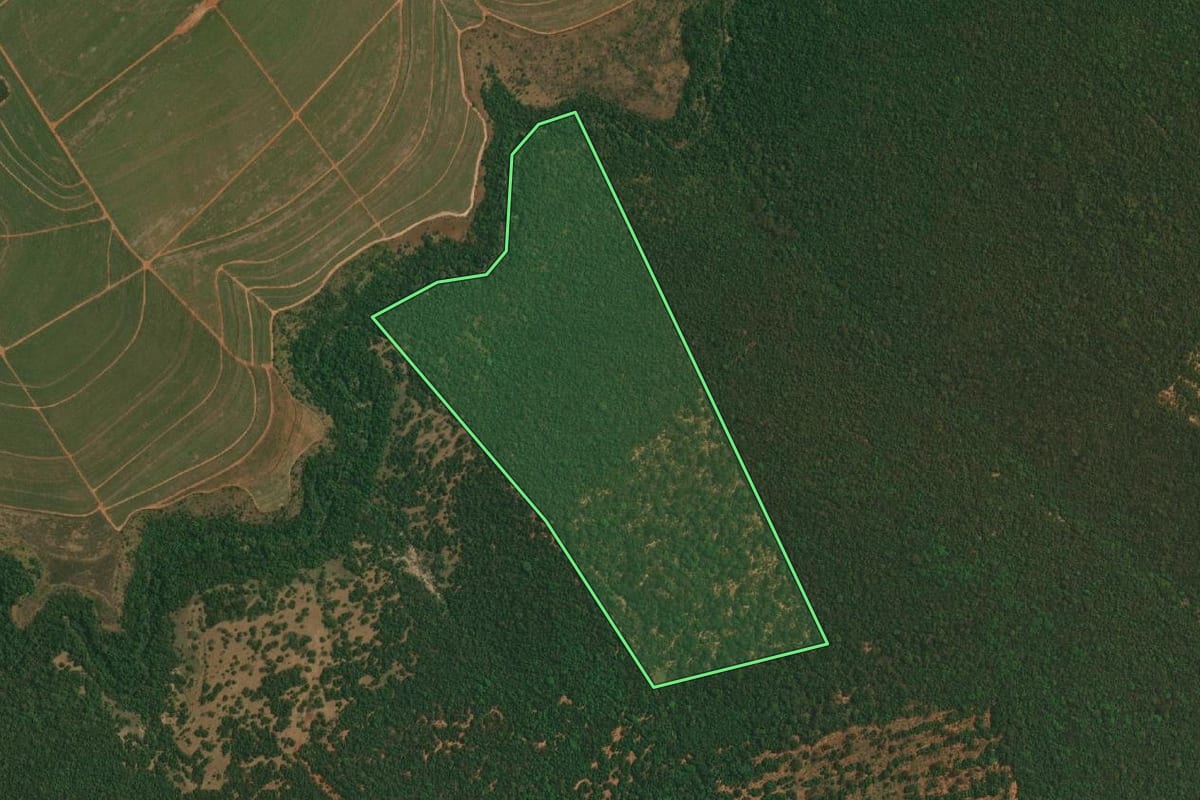 Imagem de satélite do imóvel rural em Presidente Bernardes (SP), com o contorno declarado no CAR desenhado por cima.
