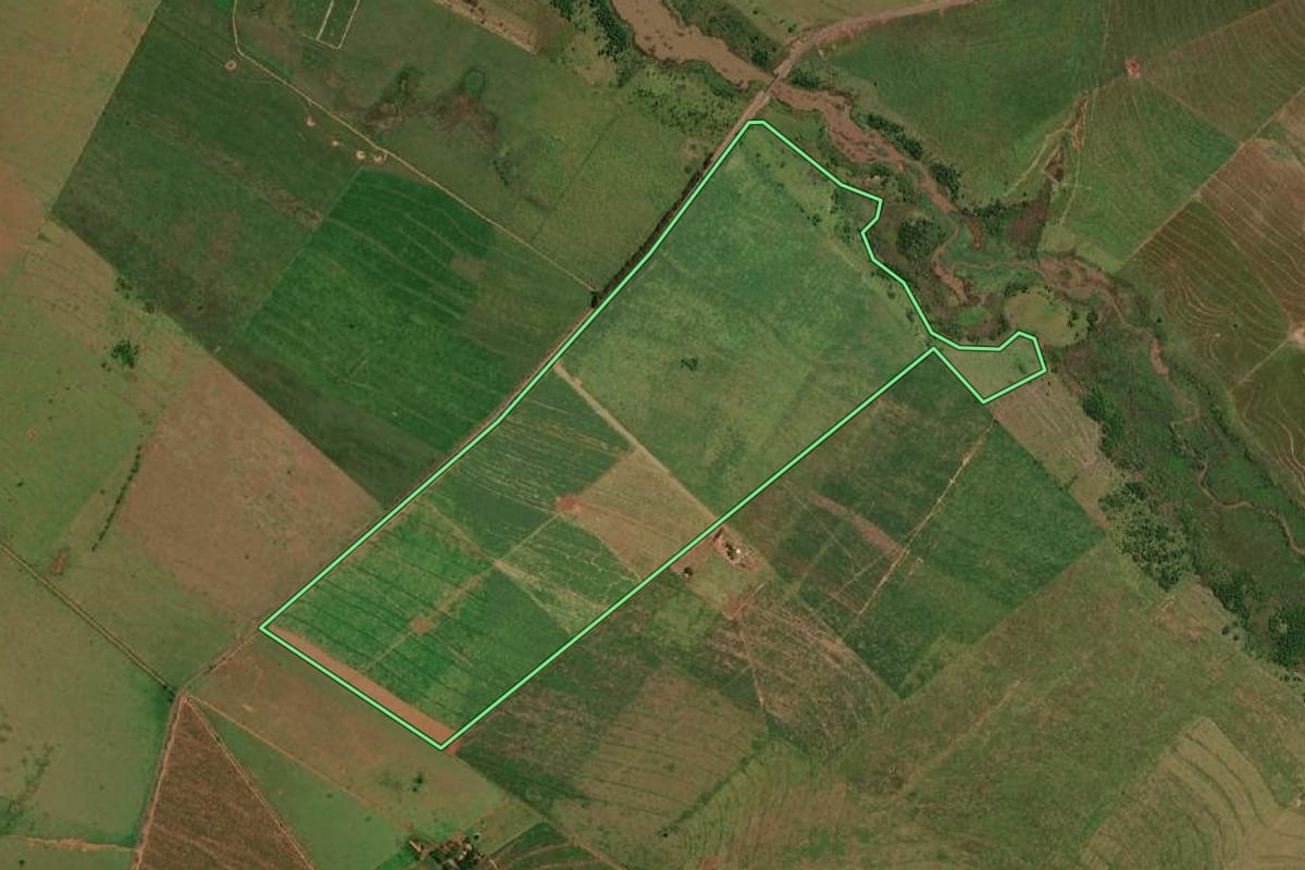 Imagem de satélite do imóvel rural em Presidente Epitácio (SP), com o contorno declarado no CAR desenhado por cima.