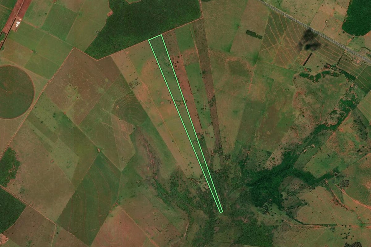 Imagem de satélite do imóvel rural em Presidente Epitácio (SP), com o contorno declarado no CAR desenhado por cima.