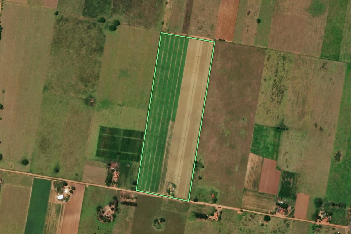 Imagem de satélite do imóvel rural em Presidente Epitácio (SP), com o contorno declarado no CAR desenhado por cima.
