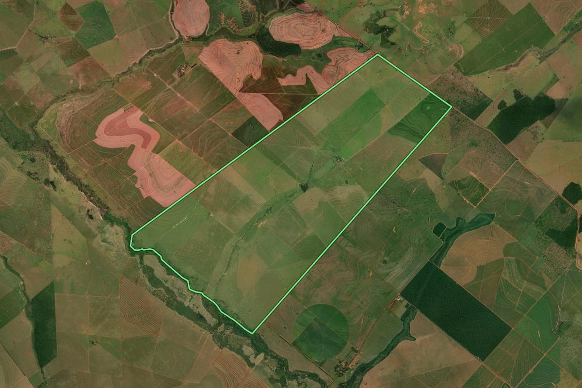 Imagem de satélite do imóvel rural em Presidente Epitácio (SP), com o contorno declarado no CAR desenhado por cima.