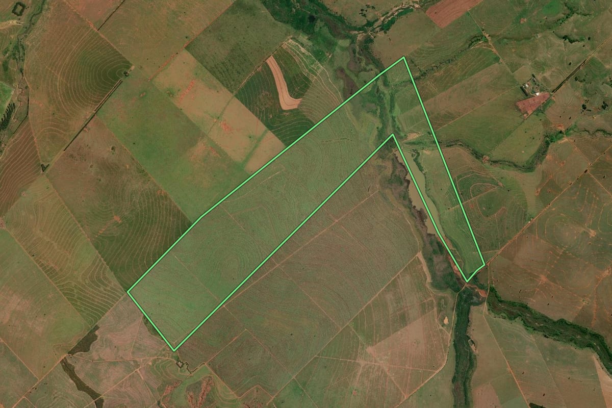 Imagem de satélite do imóvel rural em Presidente Epitácio (SP), com o contorno declarado no CAR desenhado por cima.