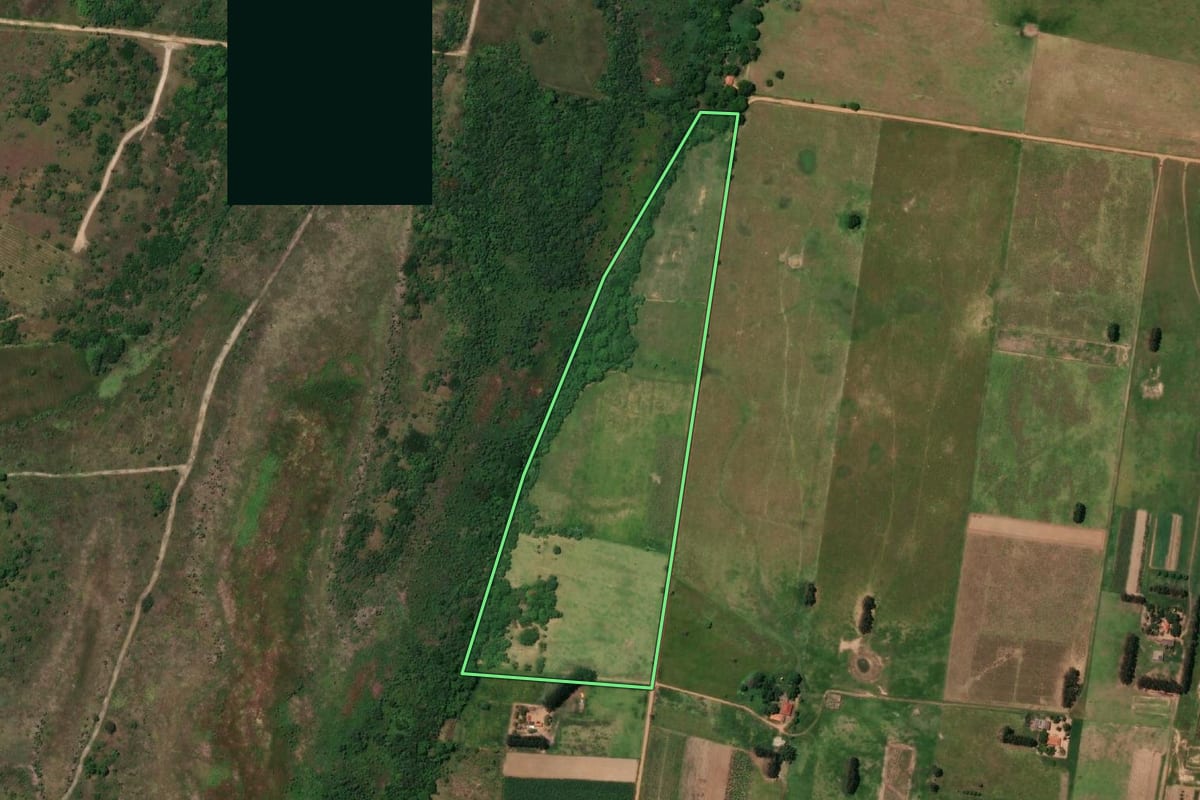 Imagem de satélite do imóvel rural em Presidente Epitácio (SP), com o contorno declarado no CAR desenhado por cima.
