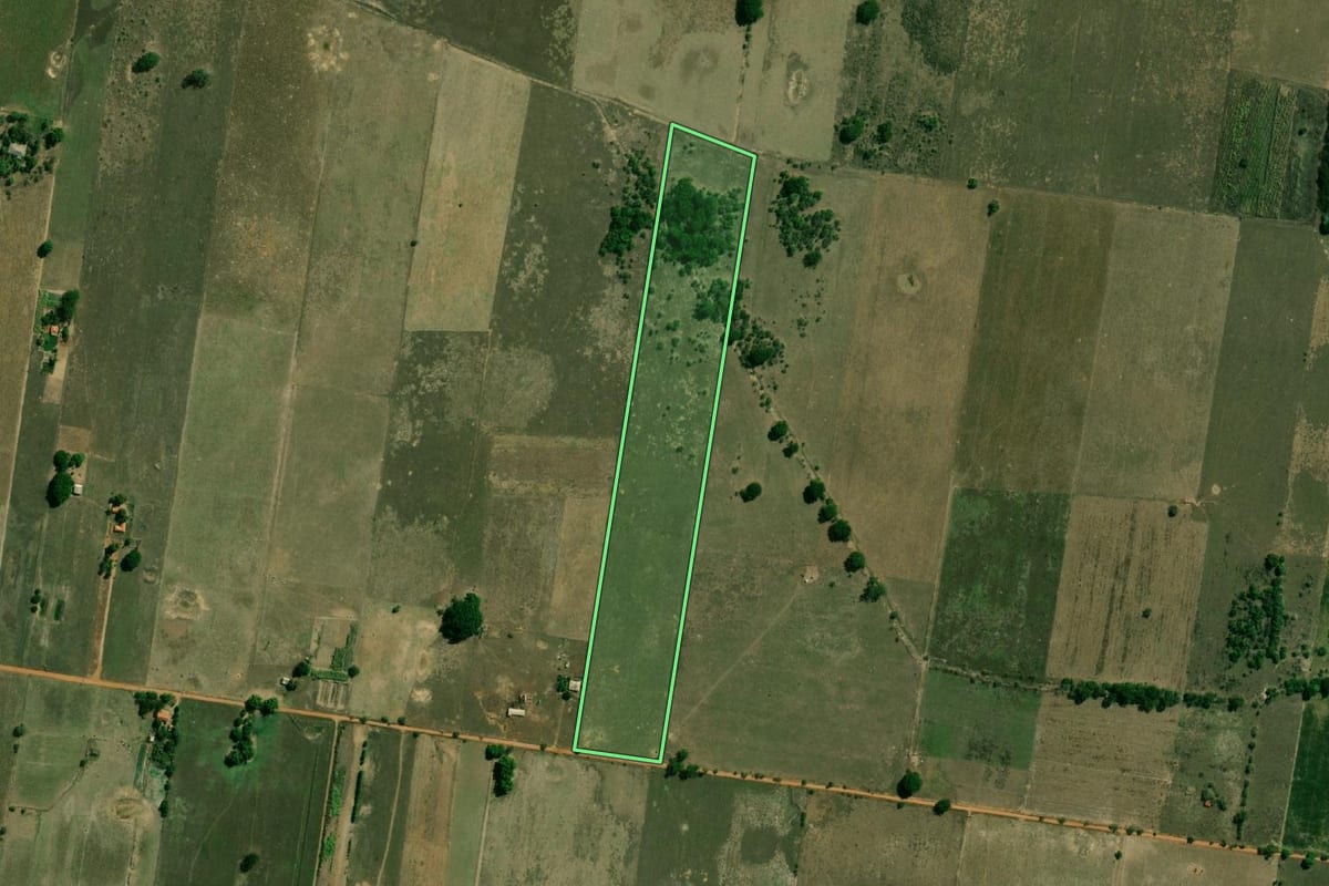 Imagem de satélite do imóvel rural em Presidente Epitácio (SP), com o contorno declarado no CAR desenhado por cima.