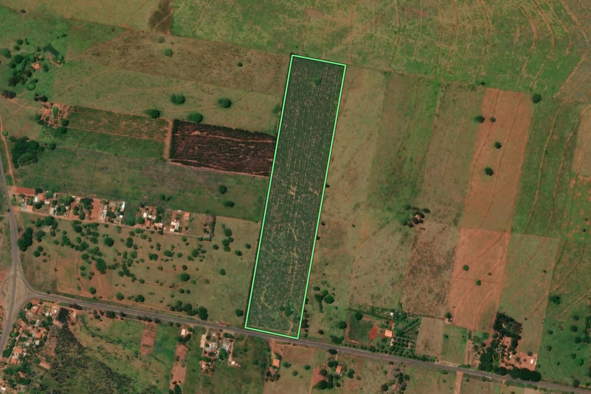 Imagem de satélite do imóvel rural em Presidente Epitácio (SP), com o contorno declarado no CAR desenhado por cima.