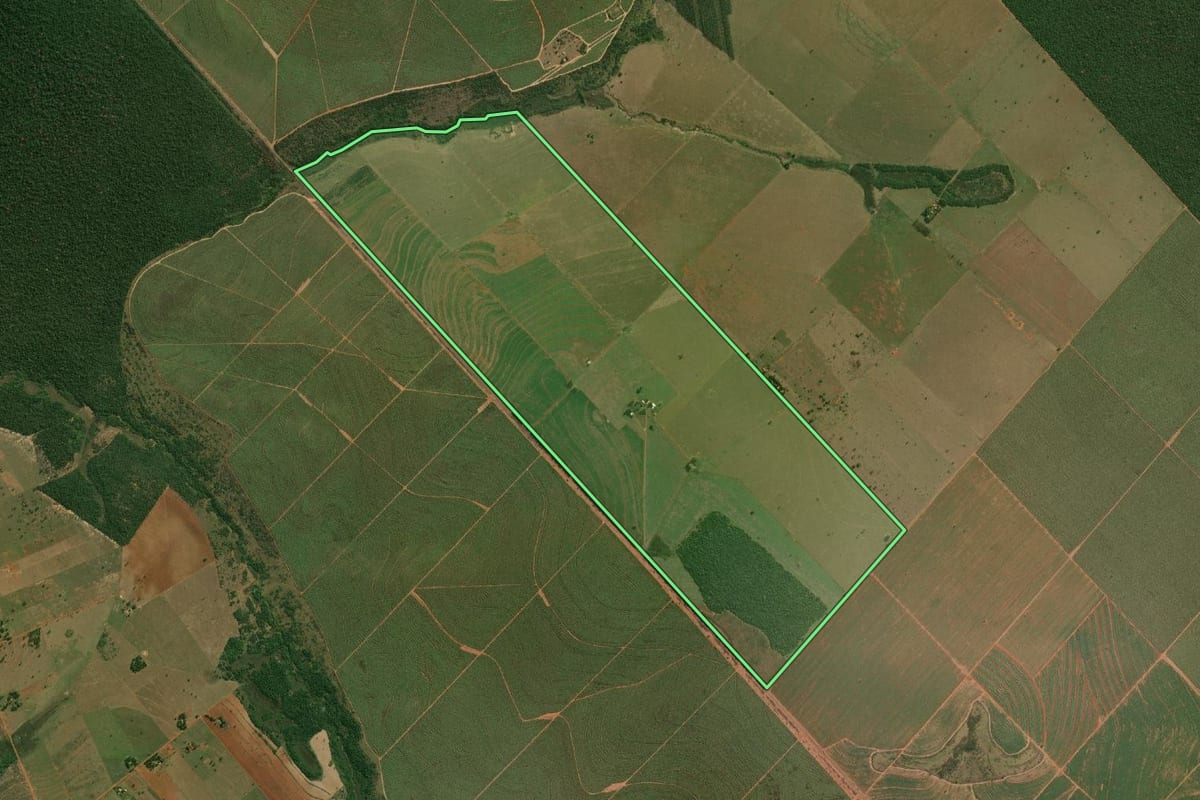 Imagem de satélite do imóvel rural em Presidente Epitácio (SP), com o contorno declarado no CAR desenhado por cima.