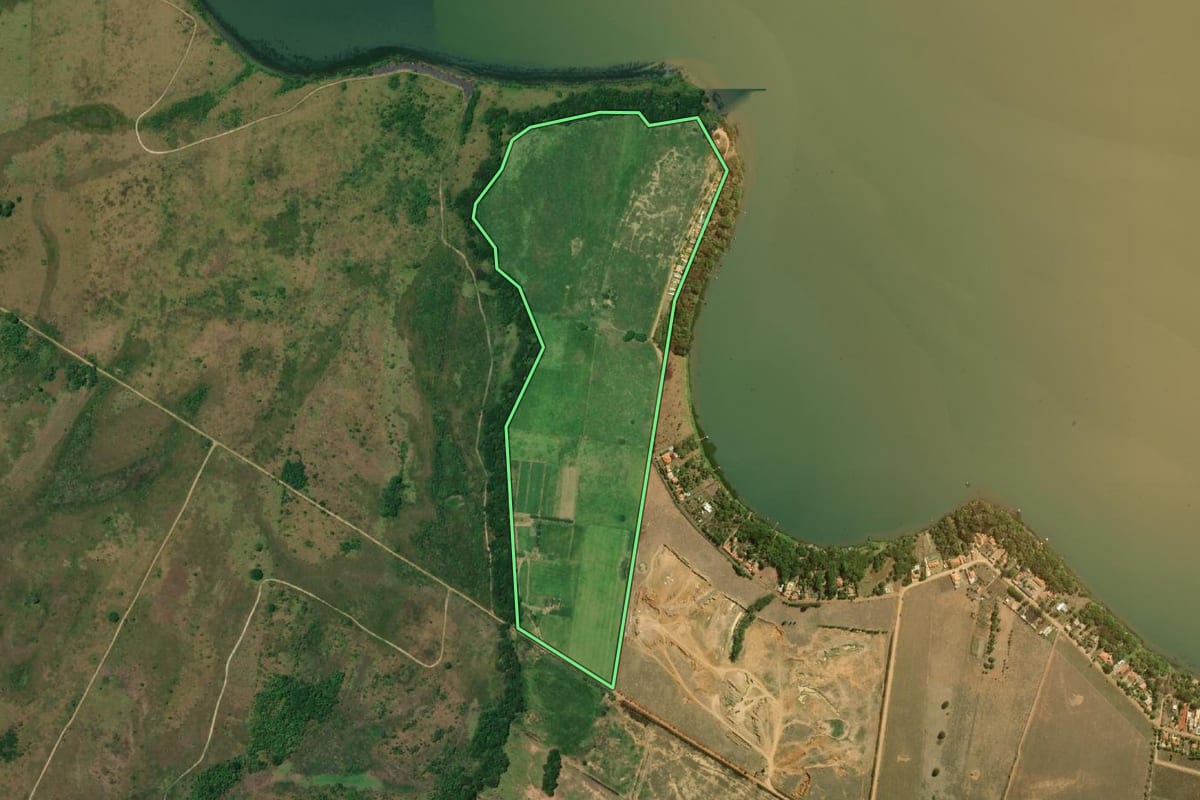 Imagem de satélite do imóvel rural em Presidente Epitácio (SP), com o contorno declarado no CAR desenhado por cima.