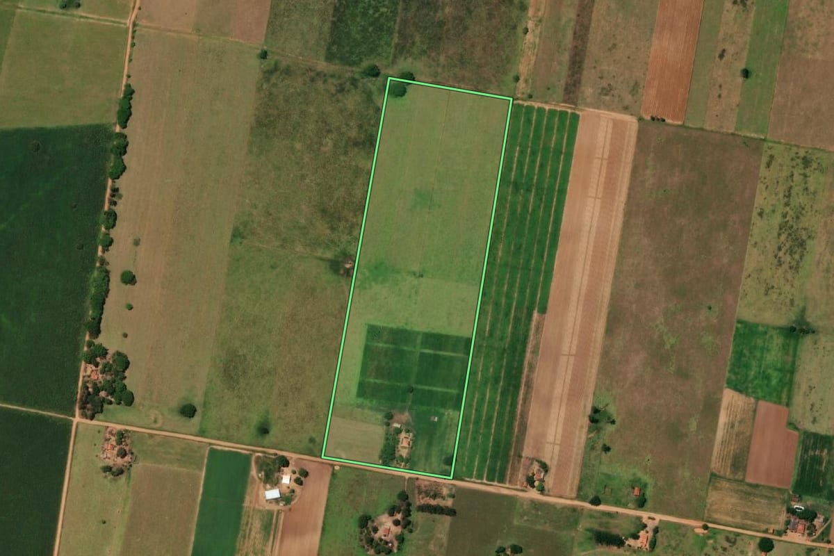 Imagem de satélite do imóvel rural em Presidente Epitácio (SP), com o contorno declarado no CAR desenhado por cima.