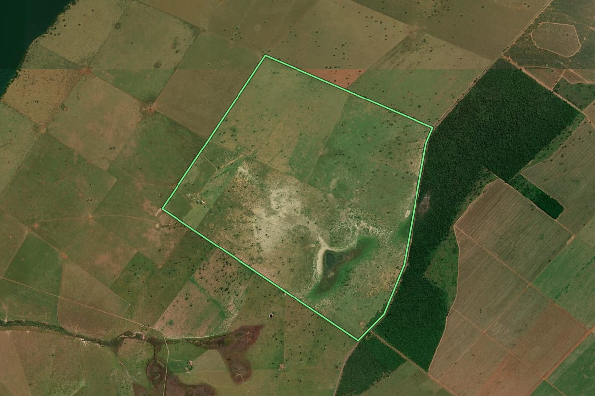 Imagem de satélite do imóvel rural em Presidente Epitácio (SP), com o contorno declarado no CAR desenhado por cima.