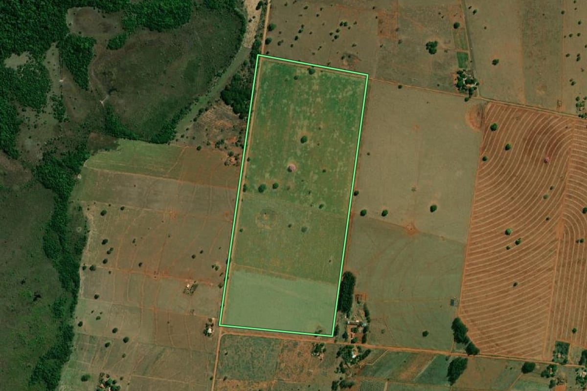 Imagem de satélite do imóvel rural em Caiuá (SP), com o contorno declarado no CAR desenhado por cima.