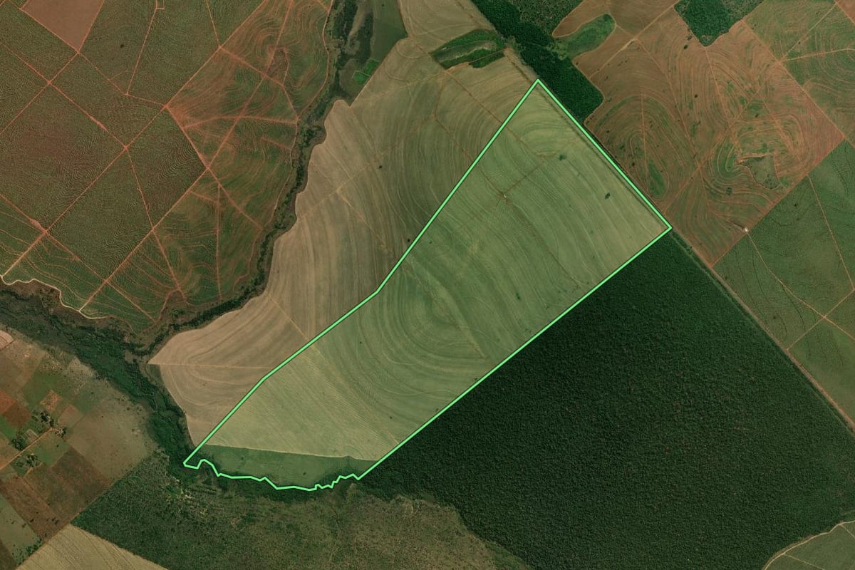 Imagem de satélite do imóvel rural em Presidente Epitácio (SP), com o contorno declarado no CAR desenhado por cima.