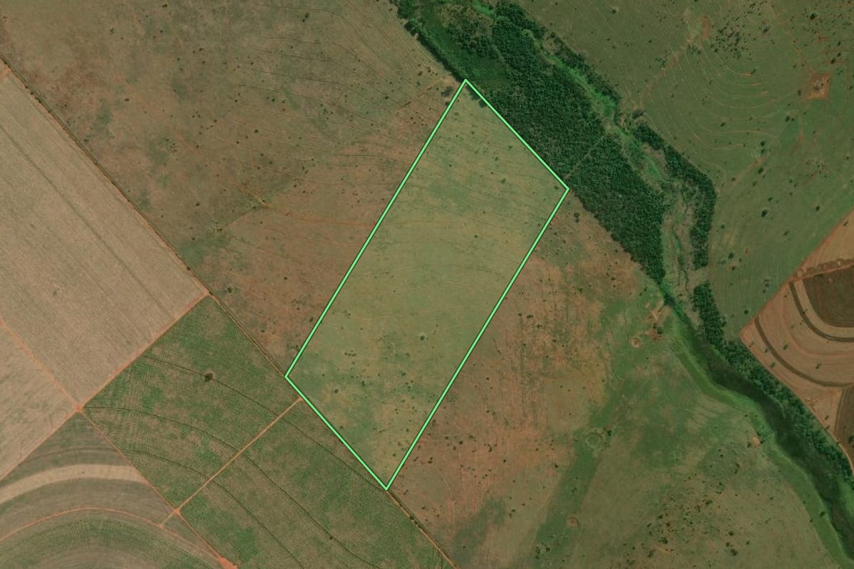 Imagem de satélite do imóvel rural em Presidente Epitácio (SP), com o contorno declarado no CAR desenhado por cima.