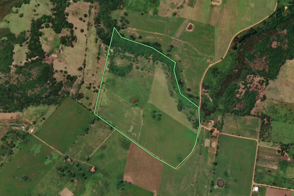Imagem de satélite do imóvel rural em Presidente Epitácio (SP), com o contorno declarado no CAR desenhado por cima.