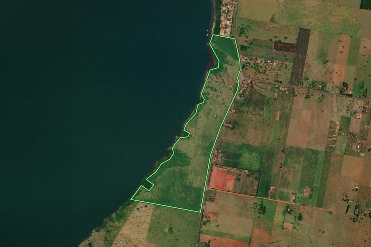 Imagem de satélite do imóvel rural em Presidente Epitácio (SP), com o contorno declarado no CAR desenhado por cima.