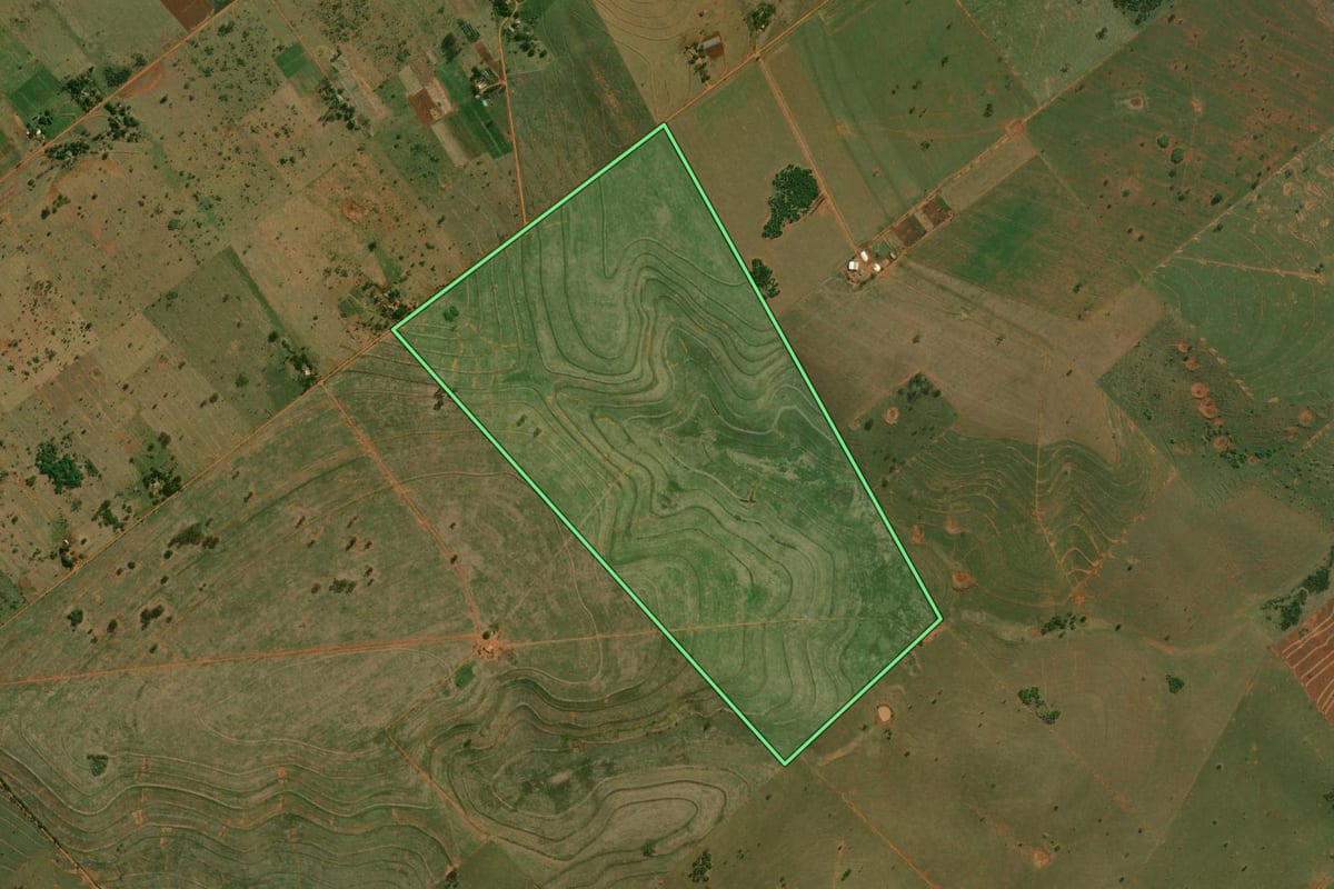 Imagem de satélite do imóvel rural em Presidente Epitácio (SP), com o contorno declarado no CAR desenhado por cima.