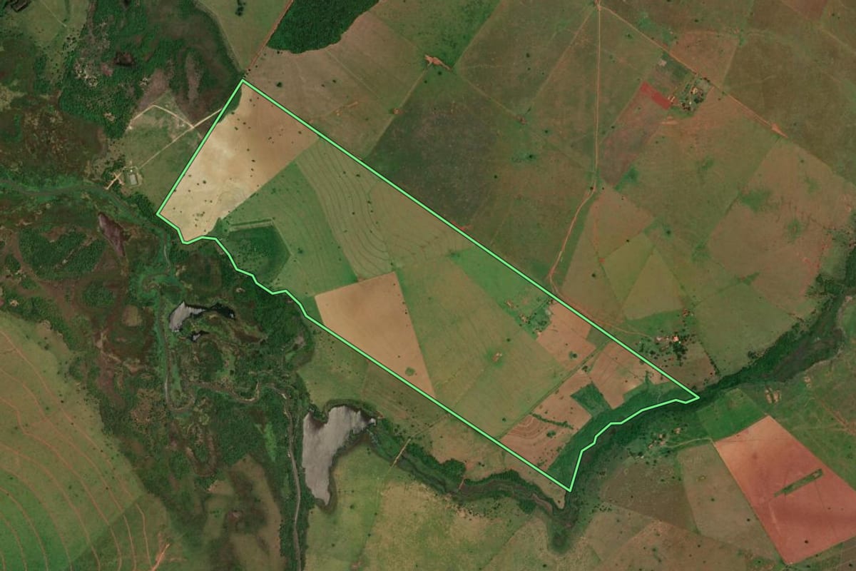 Imagem de satélite do imóvel rural em Presidente Epitácio (SP), com o contorno declarado no CAR desenhado por cima.