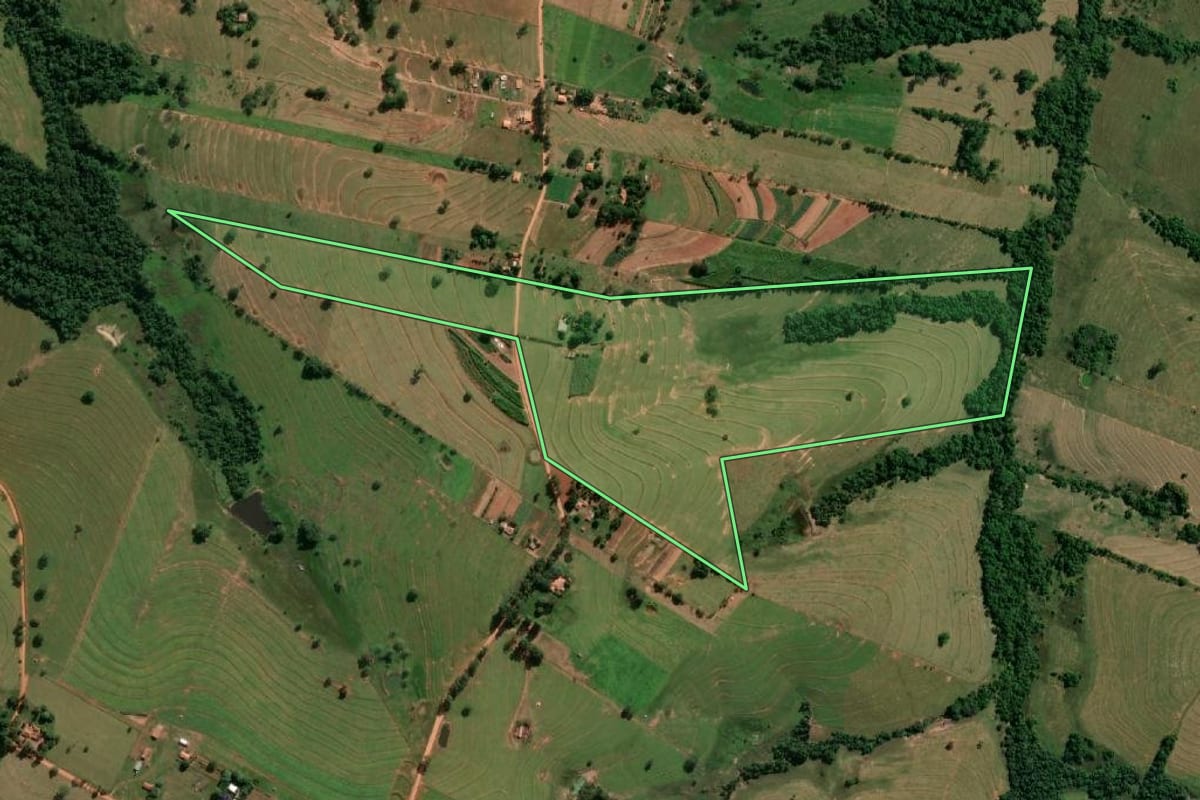 Imagem de satélite do imóvel rural em Presidente Prudente (SP), com o contorno declarado no CAR desenhado por cima.