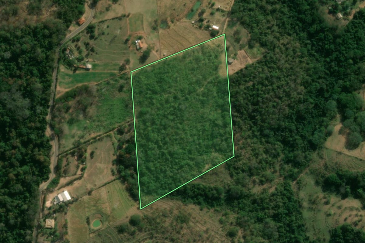 Imagem de satélite do imóvel rural em Presidente Prudente (SP), com o contorno declarado no CAR desenhado por cima.