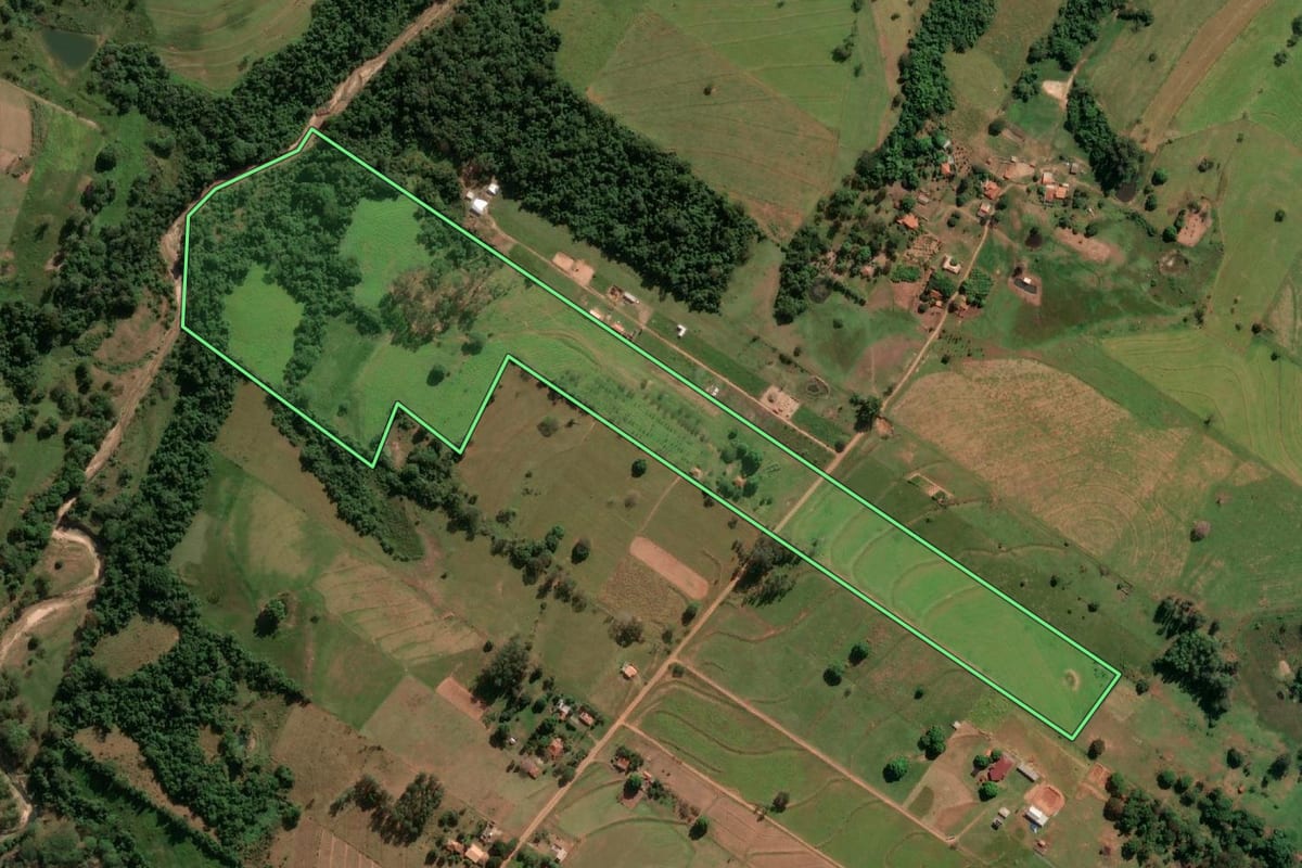 Imagem de satélite do imóvel rural em Presidente Prudente (SP), com o contorno declarado no CAR desenhado por cima.