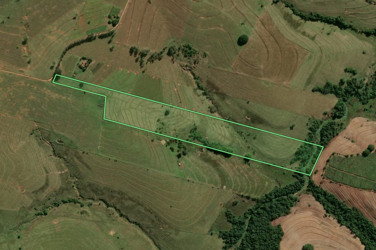 Imagem de satélite do imóvel rural em Presidente Prudente (SP), com o contorno declarado no CAR desenhado por cima.