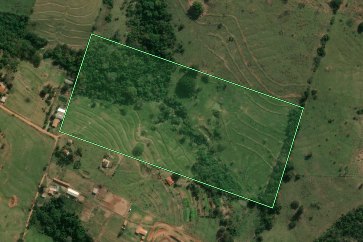 Imagem de satélite do imóvel rural em Presidente Prudente (SP), com o contorno declarado no CAR desenhado por cima.