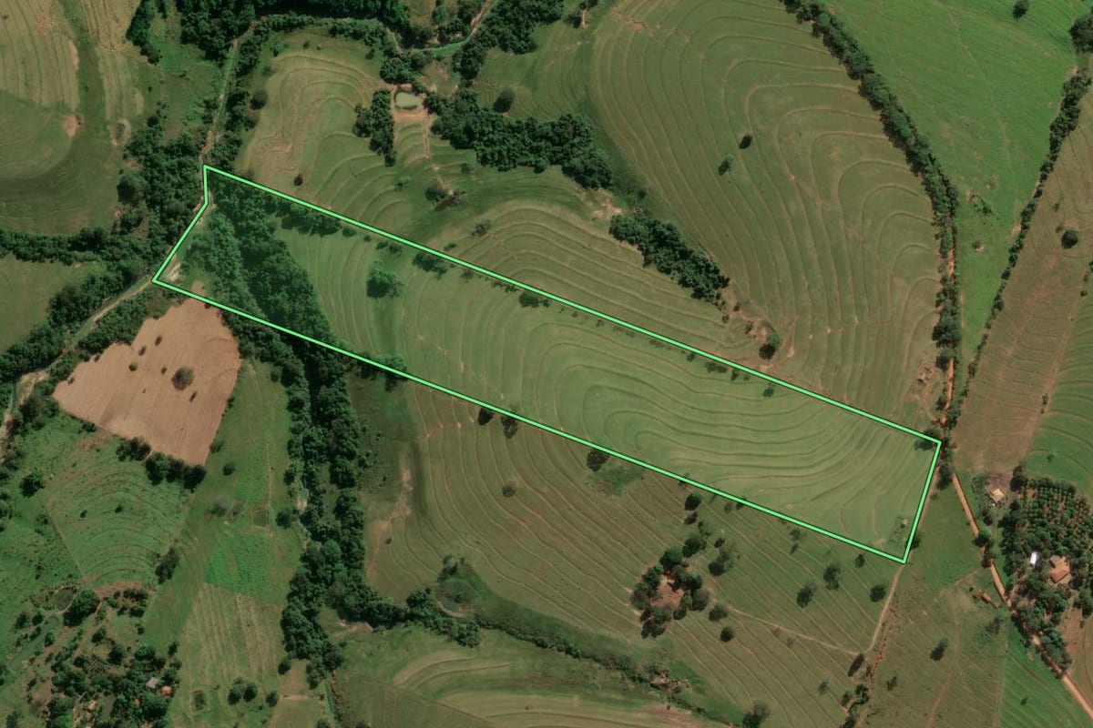 Imagem de satélite do imóvel rural em Presidente Prudente (SP), com o contorno declarado no CAR desenhado por cima.