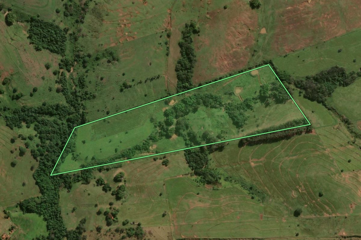 Imagem de satélite do imóvel rural em Presidente Venceslau (SP), com o contorno declarado no CAR desenhado por cima.