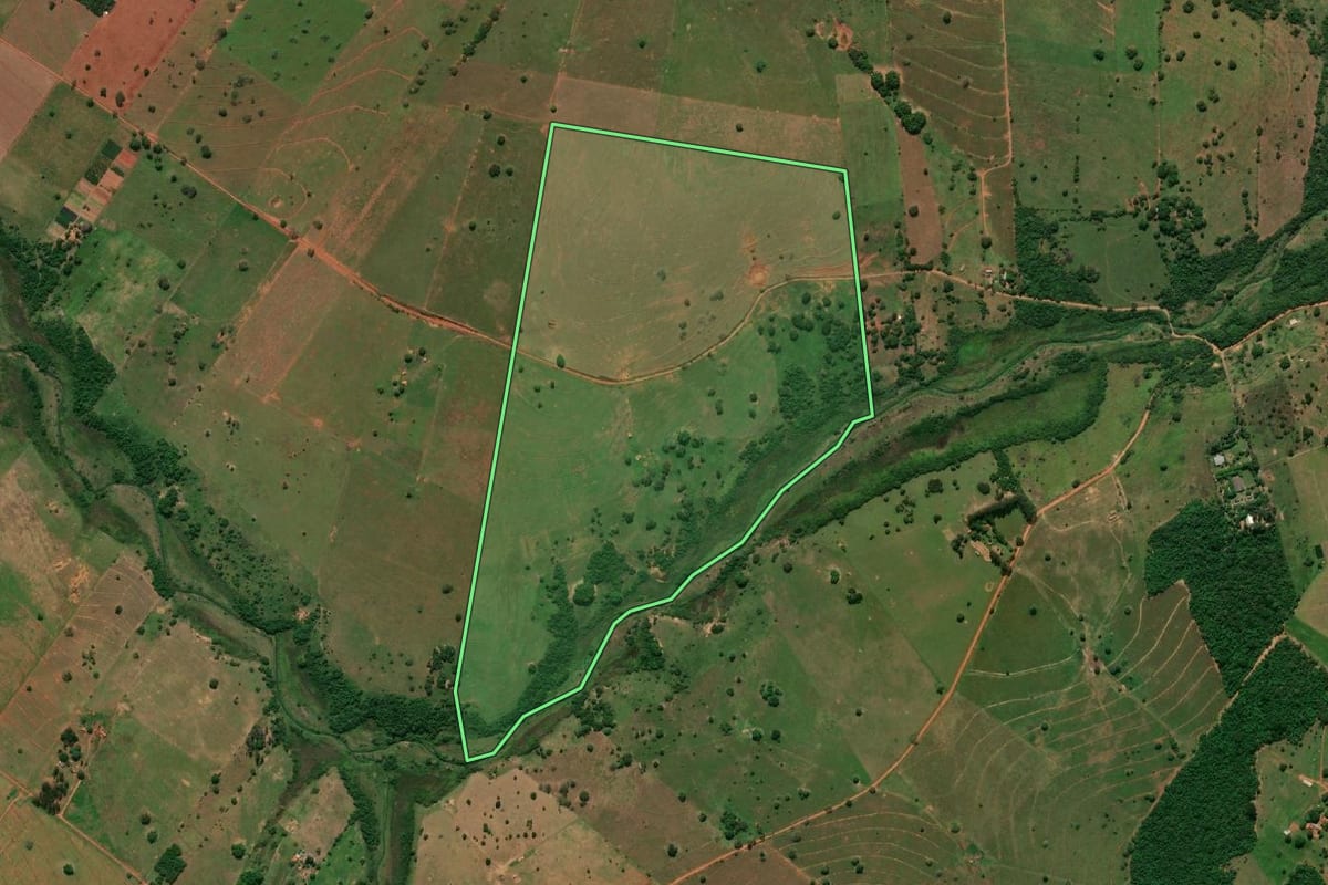 Imagem de satélite do imóvel rural em Presidente Venceslau (SP), com o contorno declarado no CAR desenhado por cima.