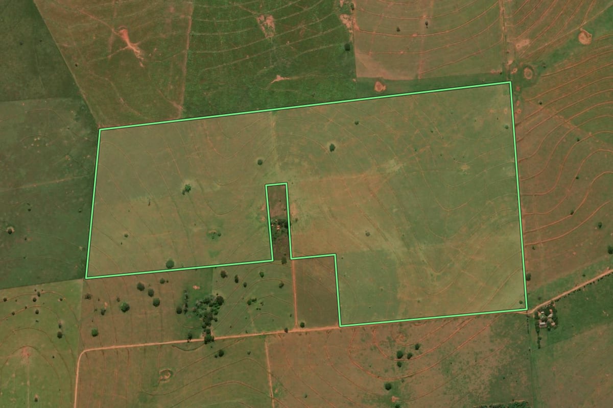 Imagem de satélite do imóvel rural em Presidente Venceslau (SP), com o contorno declarado no CAR desenhado por cima.