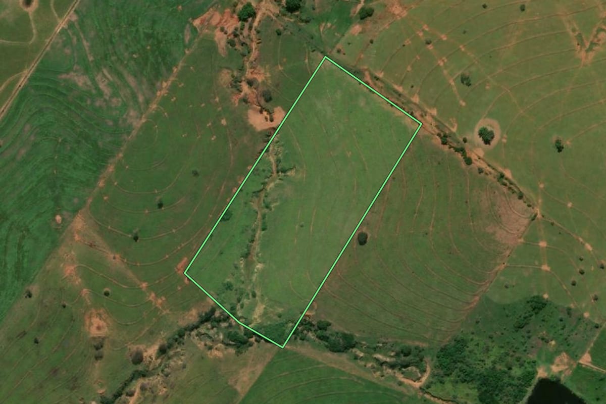 Imagem de satélite do imóvel rural em Presidente Venceslau (SP), com o contorno declarado no CAR desenhado por cima.
