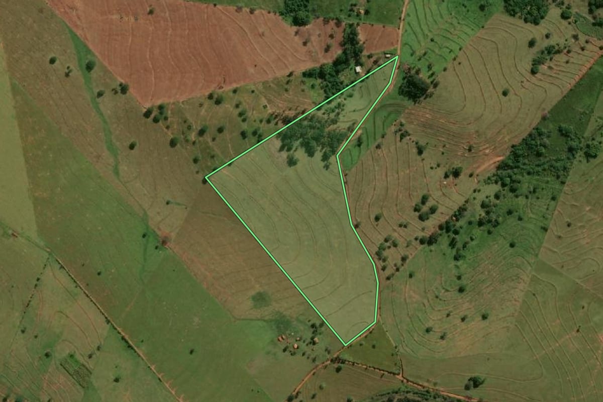 Imagem de satélite do imóvel rural em Presidente Venceslau (SP), com o contorno declarado no CAR desenhado por cima.