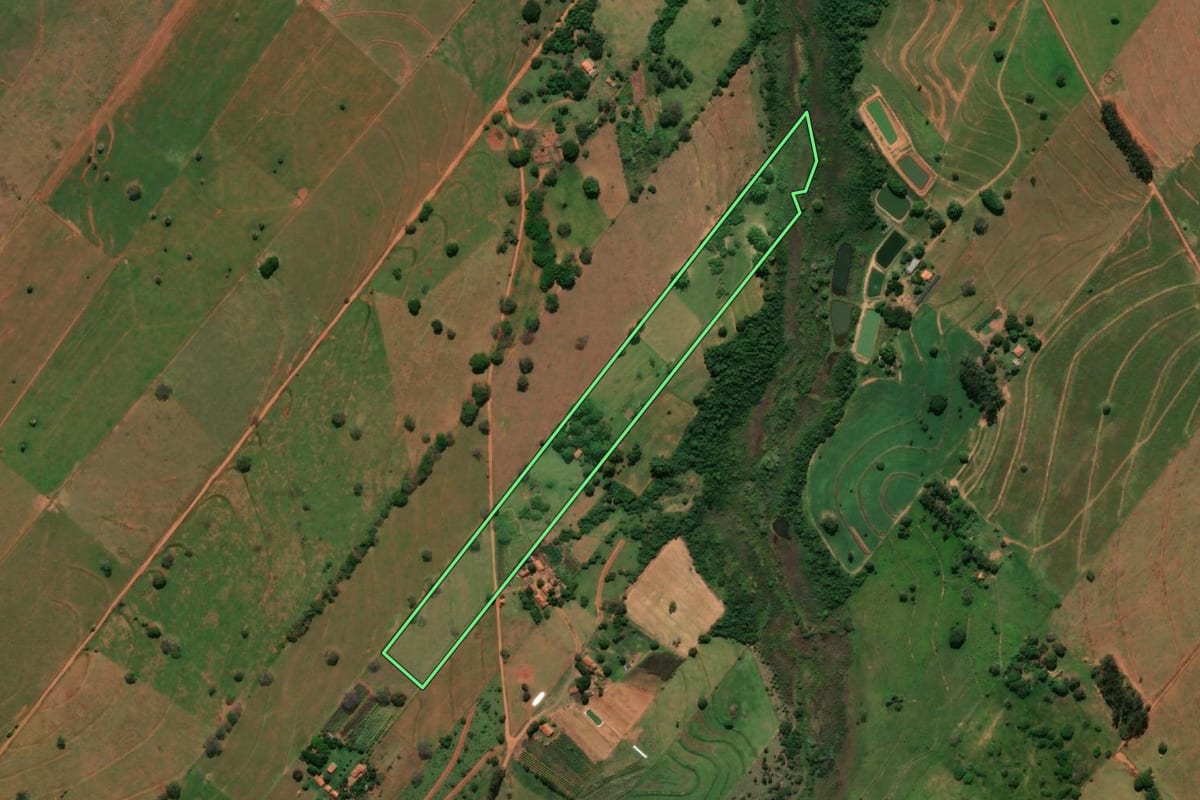 Imagem de satélite do imóvel rural em Presidente Venceslau (SP), com o contorno declarado no CAR desenhado por cima.