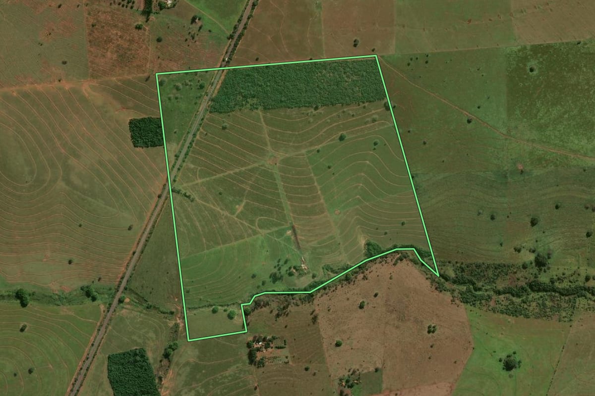 Imagem de satélite do imóvel rural em Presidente Venceslau (SP), com o contorno declarado no CAR desenhado por cima.