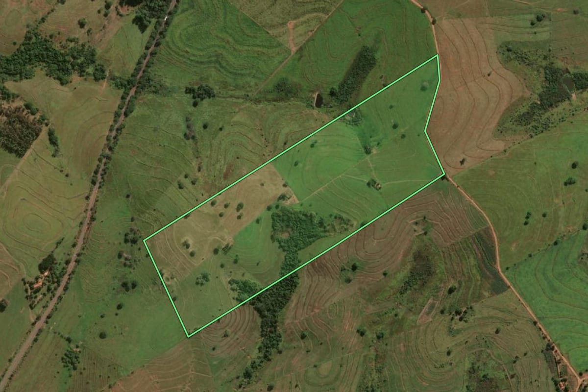 Imagem de satélite do imóvel rural em Presidente Venceslau (SP), com o contorno declarado no CAR desenhado por cima.