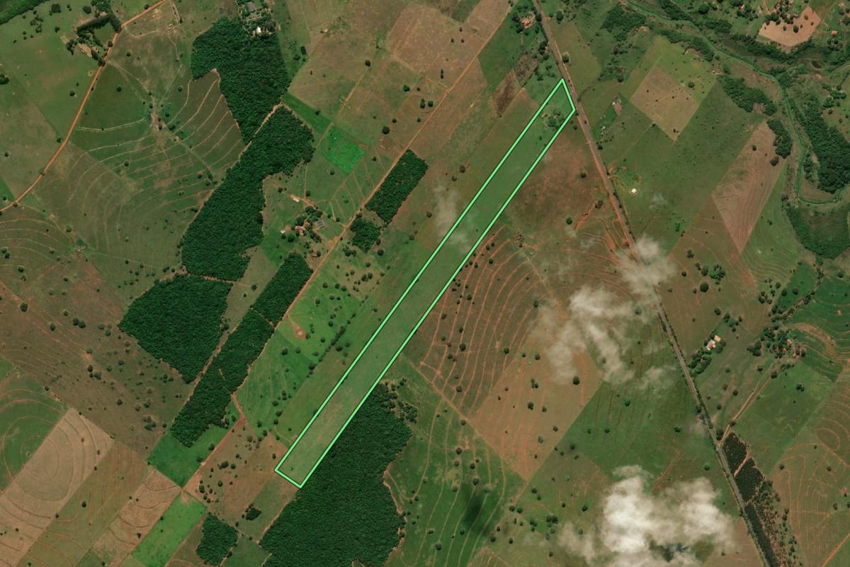 Imagem de satélite do imóvel rural em Presidente Venceslau (SP), com o contorno declarado no CAR desenhado por cima.