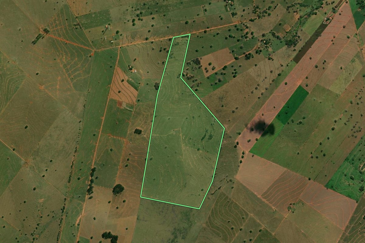 Imagem de satélite do imóvel rural em Presidente Venceslau (SP), com o contorno declarado no CAR desenhado por cima.