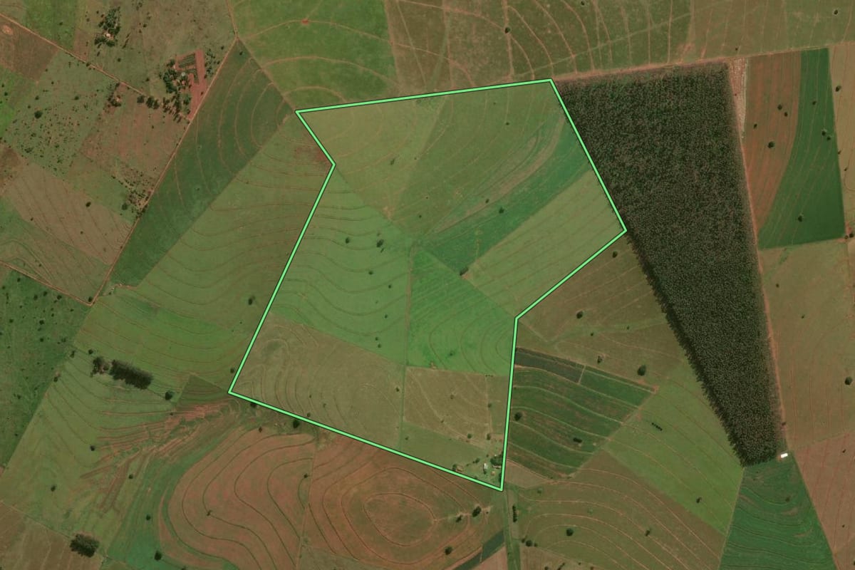 Imagem de satélite do imóvel rural em Presidente Venceslau (SP), com o contorno declarado no CAR desenhado por cima.