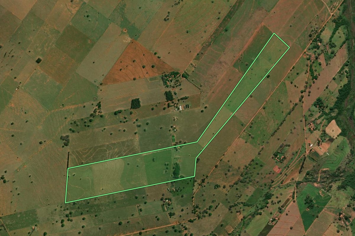 Imagem de satélite do imóvel rural em Presidente Venceslau (SP), com o contorno declarado no CAR desenhado por cima.