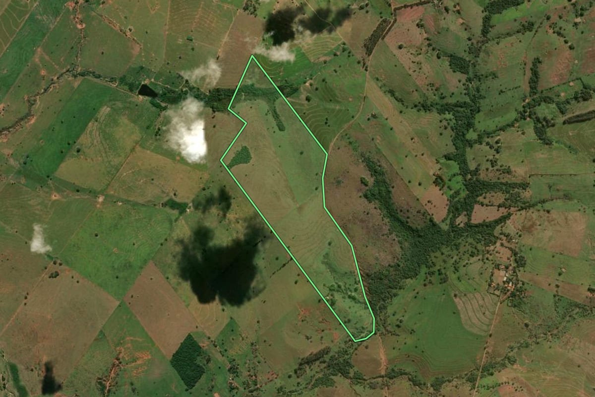 Imagem de satélite do imóvel rural em Presidente Venceslau (SP), com o contorno declarado no CAR desenhado por cima.