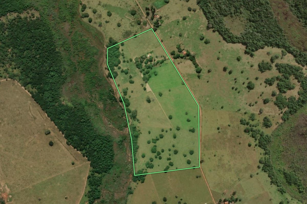 Imagem de satélite do imóvel rural em Presidente Venceslau (SP), com o contorno declarado no CAR desenhado por cima.