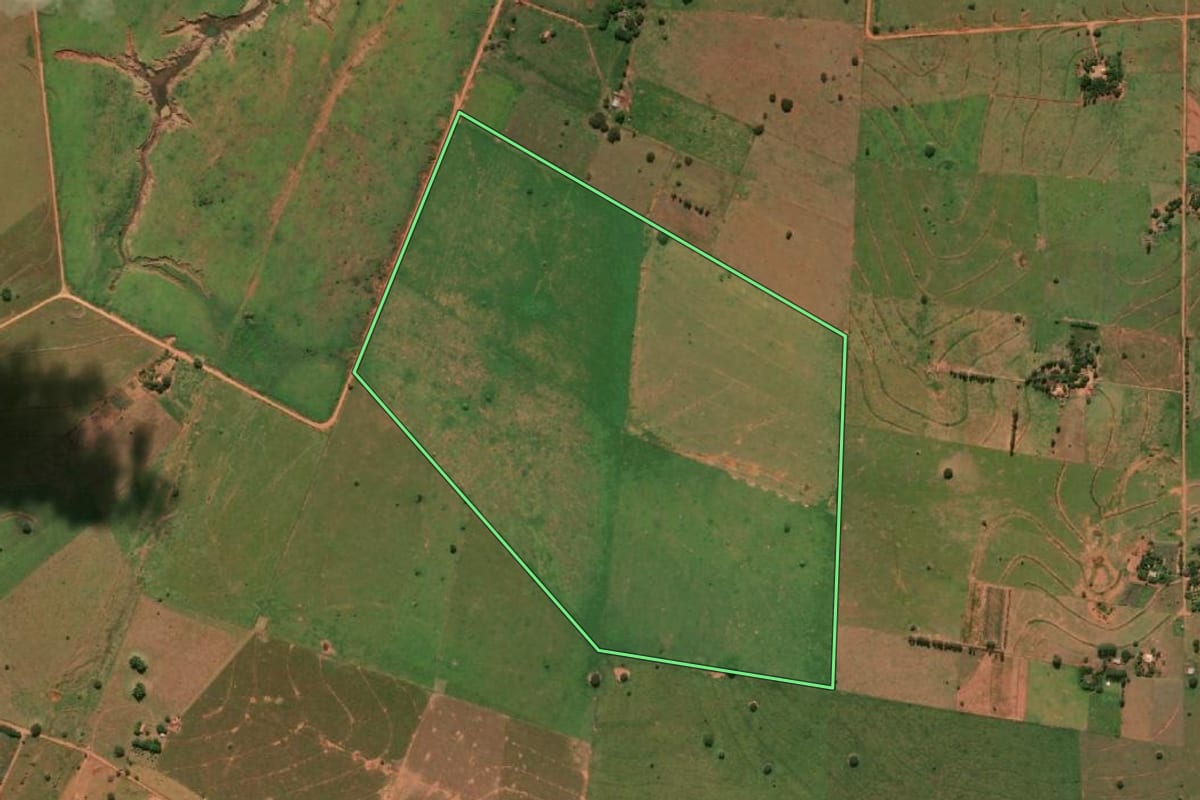 Imagem de satélite do imóvel rural em Presidente Venceslau (SP), com o contorno declarado no CAR desenhado por cima.