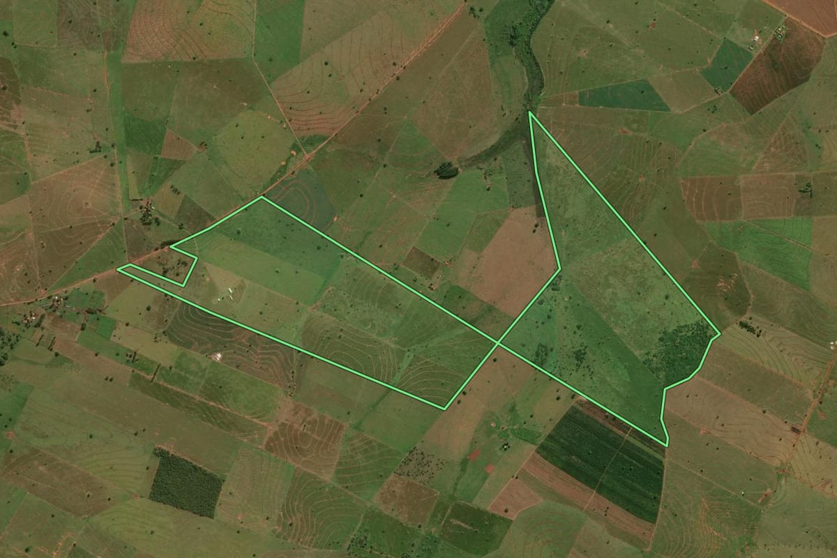 Imagem de satélite do imóvel rural em Presidente Venceslau (SP), com o contorno declarado no CAR desenhado por cima.