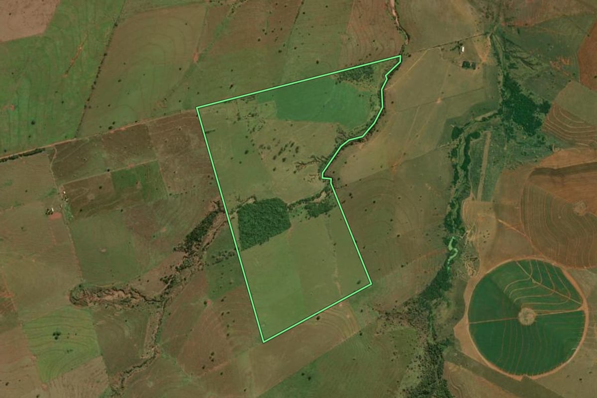 Imagem de satélite do imóvel rural em Presidente Venceslau (SP), com o contorno declarado no CAR desenhado por cima.