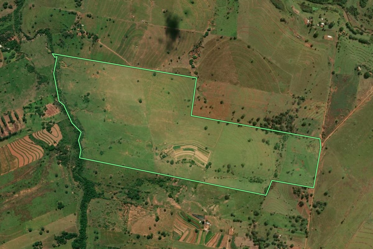 Imagem de satélite do imóvel rural em Presidente Venceslau (SP), com o contorno declarado no CAR desenhado por cima.