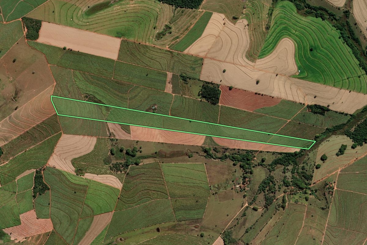 Imagem de satélite do imóvel rural em Promissão (SP), com o contorno declarado no CAR desenhado por cima.