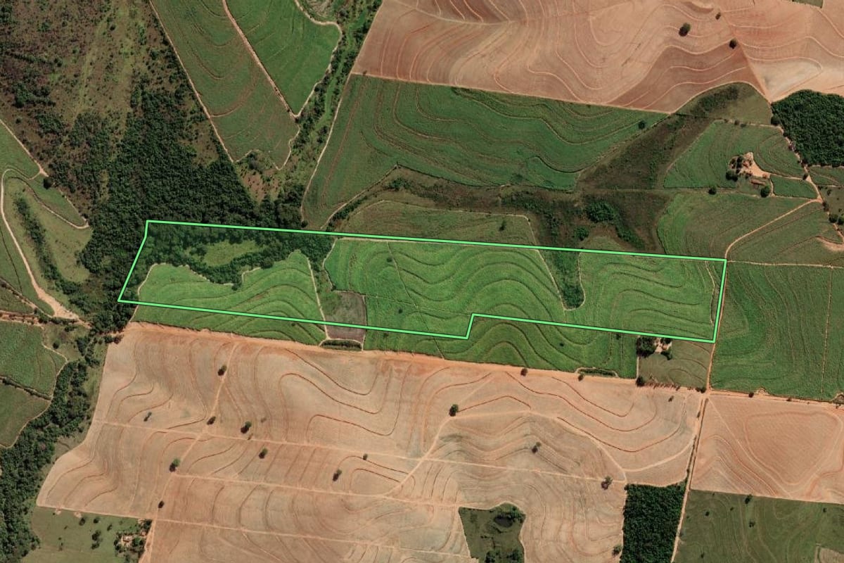 Imagem de satélite do imóvel rural em Promissão (SP), com o contorno declarado no CAR desenhado por cima.