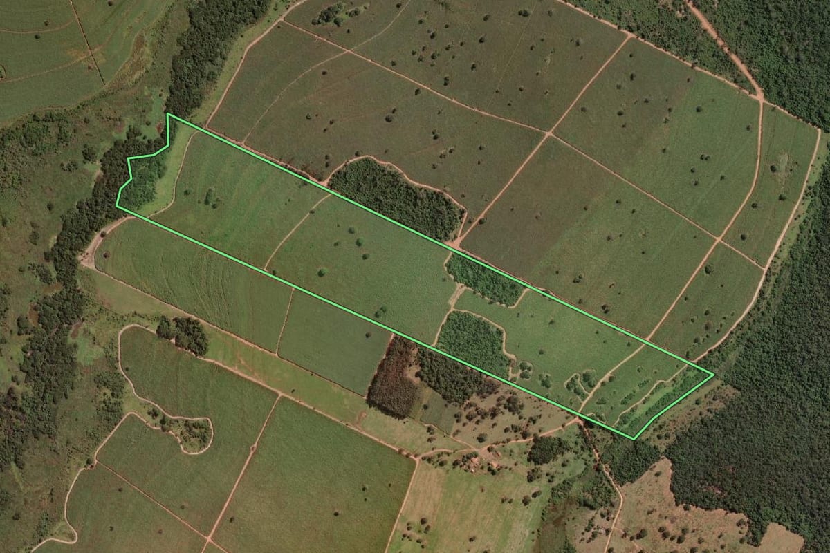 Imagem de satélite do imóvel rural em Promissão (SP), com o contorno declarado no CAR desenhado por cima.