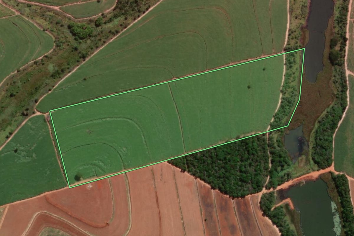 Imagem de satélite do imóvel rural em Promissão (SP), com o contorno declarado no CAR desenhado por cima.