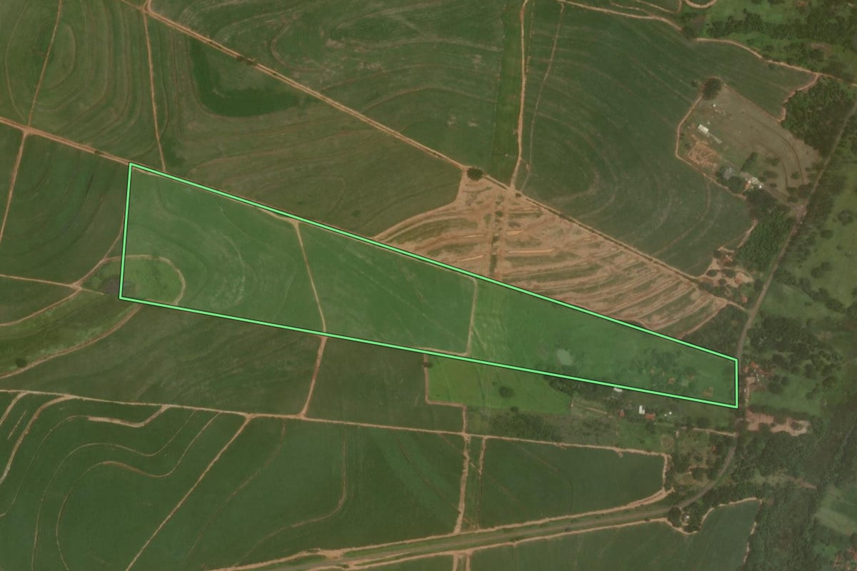 Imagem de satélite do imóvel rural em Promissão (SP), com o contorno declarado no CAR desenhado por cima.