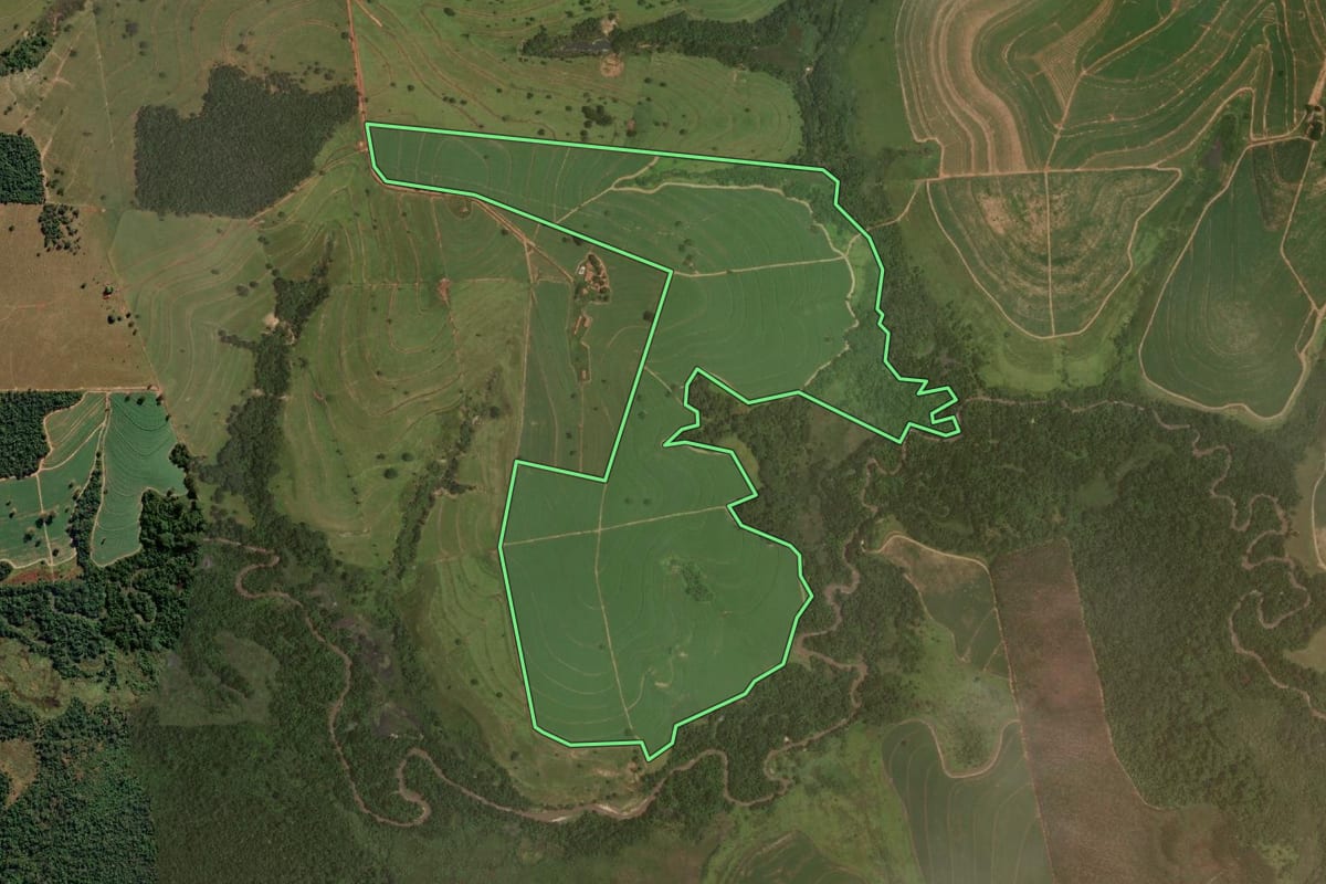 Imagem de satélite do imóvel rural em Promissão (SP), com o contorno declarado no CAR desenhado por cima.